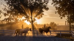 Putrajaya Equestrian Park