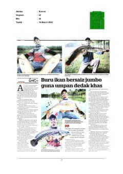 Buru ikan bersaiz jumbo guna umpan dedak khas
