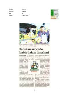 Satu tan avocado habis dalam lima hari