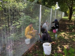 Security Fence Installation