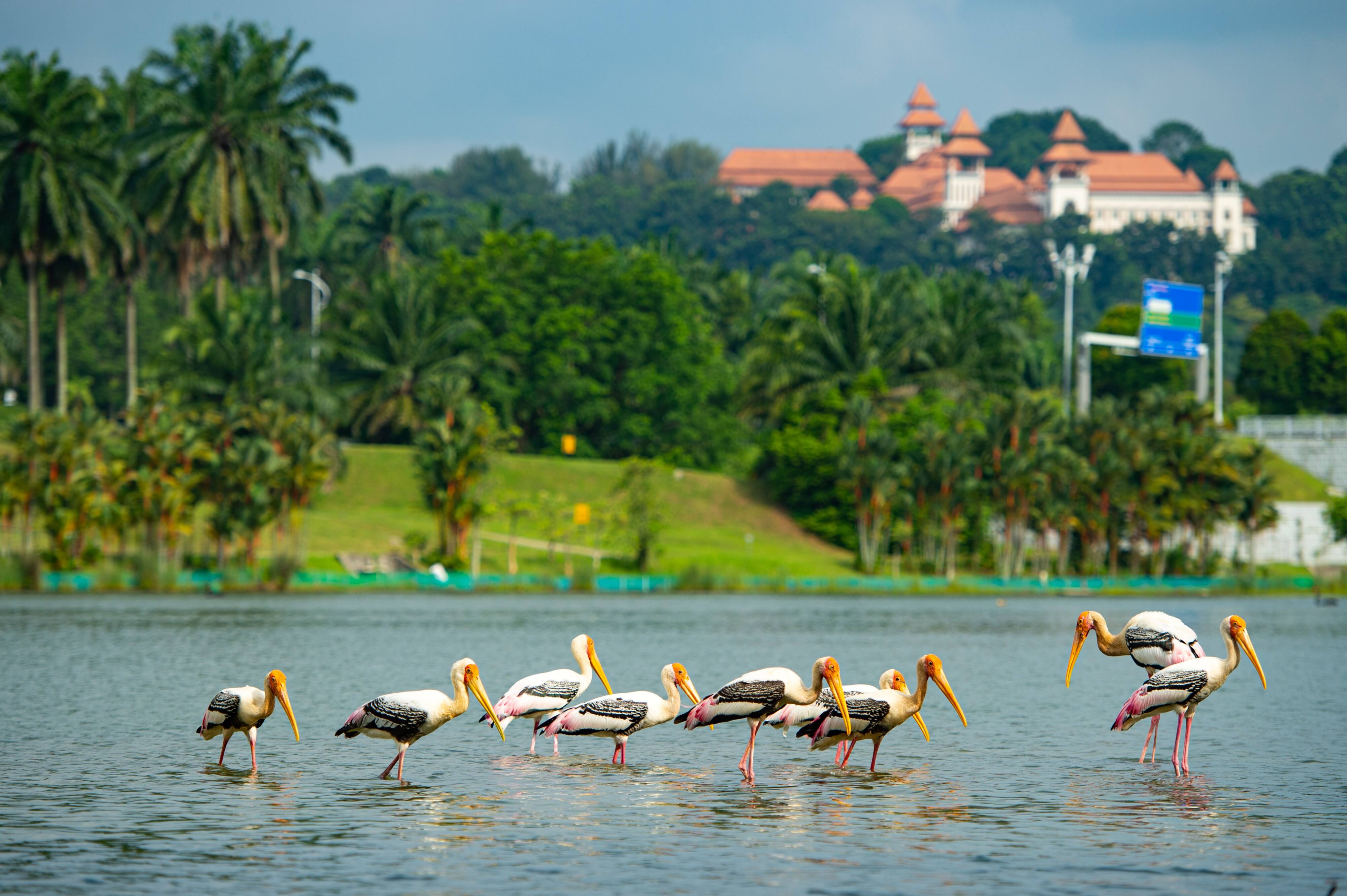 MAJLIS PENYAMPAIAN HADIAH PUTRAJAYA URBAN BIODIVERSITY CHALLENGE 2023 SIRI 2 (PUBC 2.0)