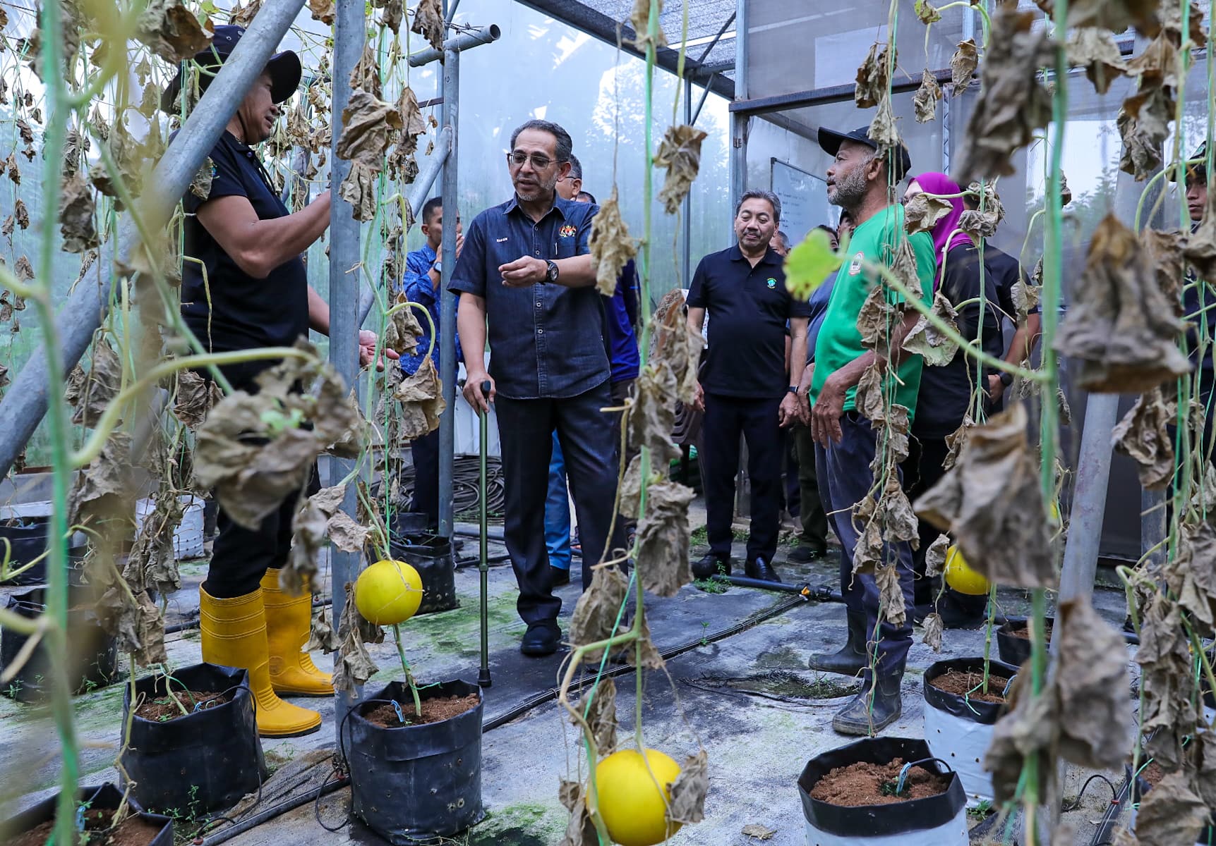 MAJLIS TUAIAN ROCK MELON BERSAMA YBHG DATO' PRESIDEN DI KEBUN KOMUNITI 3 (KK3), PRESINT 9, PUTRAJAYA