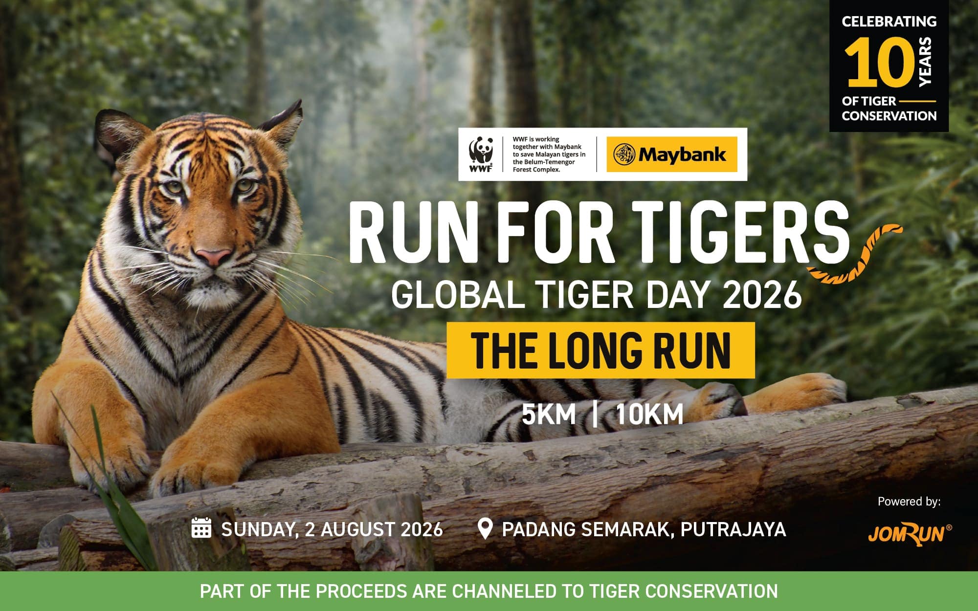 RUN FOR TIGERS: THE LONG RUN
